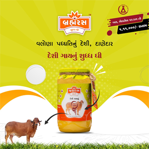 Brahmras Dairy Farm Organic Desi cow ghee ( 1000 ML )